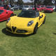 Illustration for article titled Alfa car show pic dump